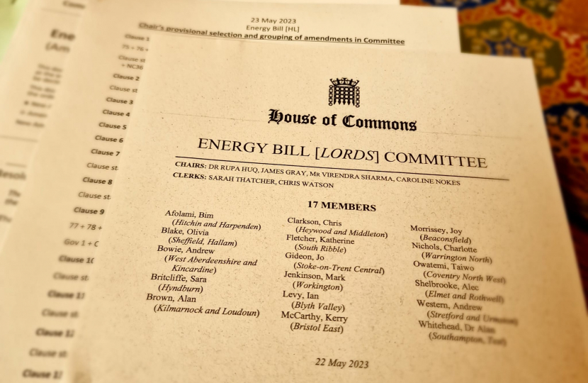 Energy Bill Papers